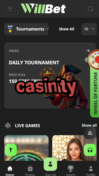 Casinity - Best Online Casino in 2024-casinobeek.ydblkf.net