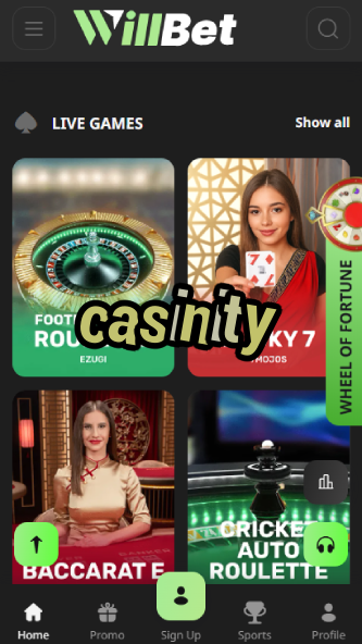 Casinity - Best Online Casino in 2024-casinobeek.ydblkf.net