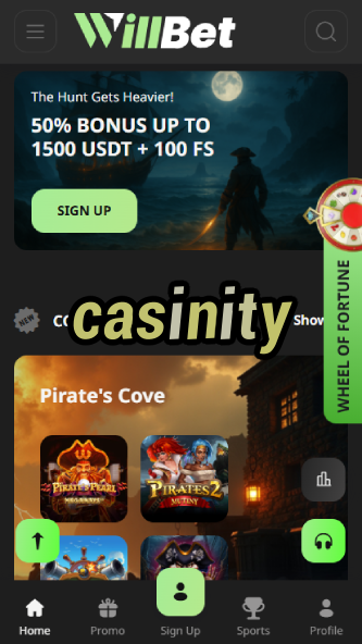 Casinity - Best Online Casino in 2024-casinobeek.ydblkf.net